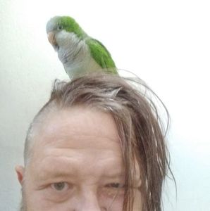 Meet your Posher, Phil